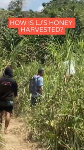 Mindanao’s Finest LJs Honeybee Premium Pure Raw Honey - Natural Flavor Large Serve 1 Gallon Plastic Bottle