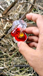 Cincin batu akik pria ring titanium mstka pamor sulaiman