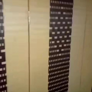 Partisi Ruangan Rotan Sintetis Pintu 4