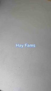 Famashoecare-finisher paint-pelapis cat sepatu-pelindung cat sepatu