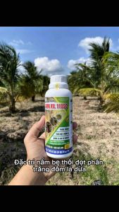 THUỐC TRỊ NẤM BẸ DỪA ĐỐM LÁ THỐI ĐỌT PHẤN TRẮNG CHAI 500ML