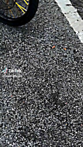 Striping Transparan Uv Yamaha Mx King Variasi Simpel Decal Striping Mx King Y15zr