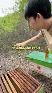 ผึ้งดอทคอม 9 ขวด น้ำผึ้งแท้100%