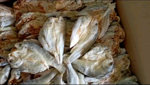 Ikan Asin COD GULAMA Bloso Belah Dua Wajah 1kg Paling Murah Terlaris
