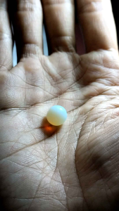 Batu buntat lipan putih barjad api natural