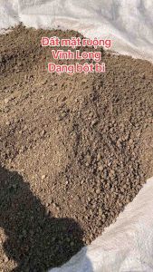 Đất mặt ruộng dạng bột bi trồng rau củ quả ….Cây Cảnh Đại Việt