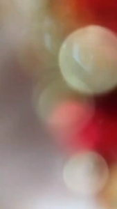 SATU SET PERHIASAN PERMATA DELIMA