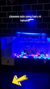 AQUARIUM MINI AKRILIK MINIMALIS FULL SET BESAR JUMBO POMPA FILTER DAN LAMPU LED/aquarium