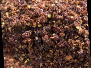 น้ำพริกทำลาบเหนือใส่มะแขว่น ขนาด500กรัม