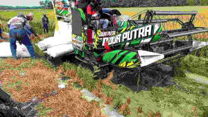 BENIH PADI GALUR GEUNIR 01 TERBARU KEMASAN 5KG KUALITAS TERBAIK ORIGINAL