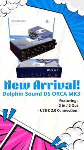Dolphin Sound DS ORCA Soundcard Recording Dolphin Orca MK3