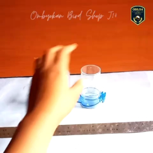 Cepuk Tabung Elit Song: Tempat Pakan atau Minum Burung