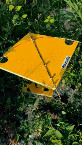 Cetakan mal arku layangan 3in1 sukhoi seot jabrug FULL SETTINGAN ( PAPAN AJA)