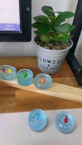 Bể cá tiểu cảnh siêu mini hồ cá nhựa trang trí bàn làm việc decor terrarium bonsai Nia Garden N5