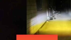 Lampu Tembak Laser Led Mini 2 Warna - Lampu Tembak Sorot Foglamp Mini D2 Laser Gun Bonus Saklar