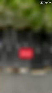 Dây nối main sạc vsmart Aris / Aris pro hàng chuẩn giá tốt