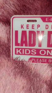 ACRYLIC PLATE (NO Bolts) Caution Sticker E-bike Lady Driver Kids On Board Keep Distance Please Be Patient