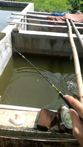 Joran Wader Super Lentur 1 Set 100cm hitam