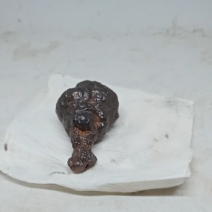 batu fosil pah4 ay4m alas langka