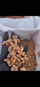 🔥DRIED FRUIT MULBERRY/BEST QUALITY IRAN BUAH MULBERI KERING 1KG/500G/250G