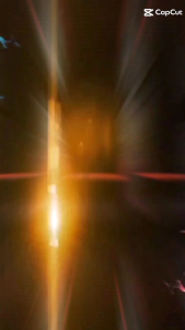 Paddock Sepeda Universal: Fungsi & Kelebihannya