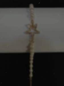 At its heart lies a shimmering star-shaped charm