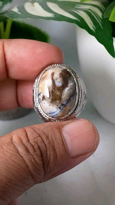 cincin batu akik dendrit natural realpic