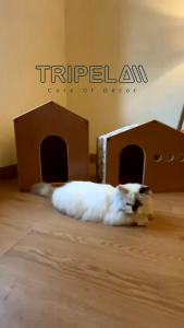 rumah kucing  kandang kucing kayu lucu  cat home rumah anjing  pet house tripela