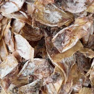 Cebus Best Special Dried Pusit 100 grams 250 g  500 g 1 kg| Vacuum Sealed | Pasalubong and Delicacy | Export Quality Product | Direct from Buwad/Bulad Supplier | Alltime favorite of tourists | wholesale | All about cebu delicacies - Lazada