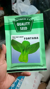 Benih Sawi Pakcoy FONTANA 20 ml dan 50 gr produk Quality Seed