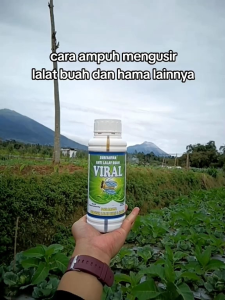 SURFACTAN ANTI LALAT BUAH | VIRAL 500ml