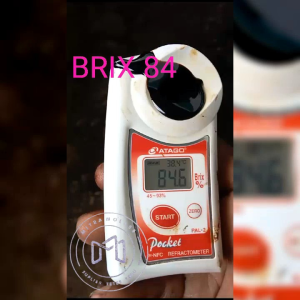 Molase / tetes tebu super murni untuk fermentasi isi 6 kg