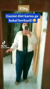 Ideal Botol isi 100 Pil Borodur mengurangi lemak Tubul/Pil Bpom
