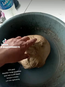 GETAH PULUT MIKAT BURUNG 200gram