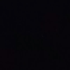 Car Brand Small RoadTax Sticker Car Accessories