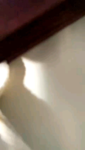 Tas Hampers Soovenir Totebag: Totebag Serbaguna & Waterproof Ukuran 20x10x15