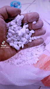 Batu Aquarium Aquascape & Batu Koral Putih: Pemilihan dan Penggunaan