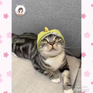 [READY STOCK] Cute Pet headwear Pet Headgear Pet Headdress Dog Cat Hat Head Cover | 宠物头套帽子发箍 猫狗搞怪帽子