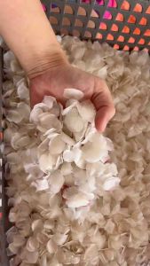 besar size🔥Fish scales 鱼鳞 / Ikan Siakap Scale Grouper Fish Scale/ Clean Fish Scale / Seafood Original Collagen Product 石甲/石斑鱼鳞片胶原蛋白/健康养颜