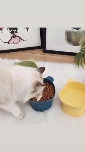 BEAR NECK PROTECTION ELEVATED PET BOWL BEKAS MAKANAN HAIWAN TERANGKAT 宠物高脚碗 宠物护颈碗 宠物碗
