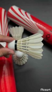 Quả cầu lông Ba Sao Pro X CHÍNH HÃNG (12 quả/ống)