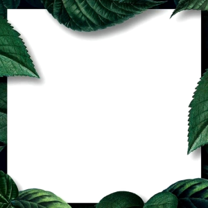 MINYAK KEMIRI BAKAR 100ml | Penumbuh dan Penghitam Rambut Alis Janggut Bulu Mata Pembersih Ketombe | Perawatan Rambut Rontok