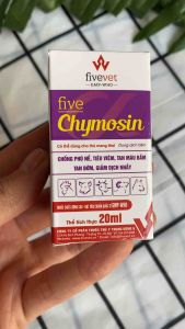 Five. Chymosin - chống phù nề tiêu viêm tan máu bầm