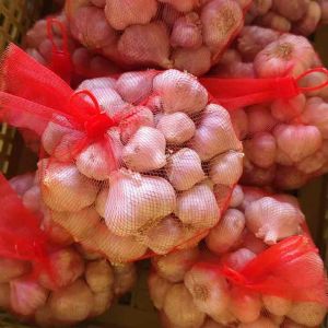 กระเทียมไทย ตัดจุกไม่ห่อ กระเทียมปีนี้แห้งพร้อมทาน