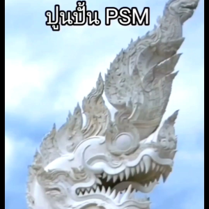 ปูนปั้น PSM สีขาว ใช้สำหรับงานปั้น ทำบล็อก กดพิมพ์ และเทตะกั่ว เป็นปูนปั้นเนื้ิอละเอียด ไม่มีทราย ไม่มีเยื่อ แข็งแรง ทนแดด ทนฝน แช่น้ำได้ ยังไม่เปิดถุงเก็บได้นานกว่า1ปี อายุชิ้นงานนานกว่า50ปี - Lazada