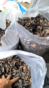 Jamur Kuping Kering 1kg grade food