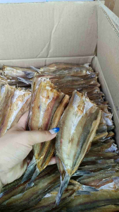 ปลาช่อนทะเลตัวเล็ก ไซร้ 70ตัว ต่อกิโล ขนาด 500กรัม ปลาแห้งสนิทไม่เค็ม