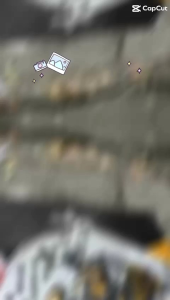 Piringan cakram depan Mio 220 mm plus breket model psm atau ktc Mio sporty Mio smile Mio soul Fino Xeon dll untuk motor lubang baut piringan 4