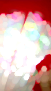 Buket Bunga Daisy Bisa Request Warna / Buket Bunga Single / Buket Bunga Setangkai / Buket Bunga Mini / Souvenir / Hadiah Ulang Tahun / Hadiah Valentine / Hadiah Hari Ibu / Hadiah Hari Ayah / Mini Gift