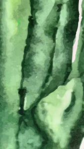 Stiker Kulkas 1 Pintu dan Sticker Kulkas 2 Pintu Kaktus